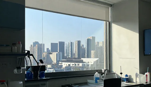 场景性能优化的适用情况与限制分析